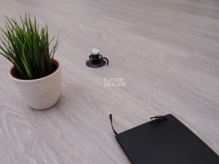 Ecoclick Wood  клеевой 2.3мм NOX-1711 Дуб Лир фото 3 | FLOORDEALER